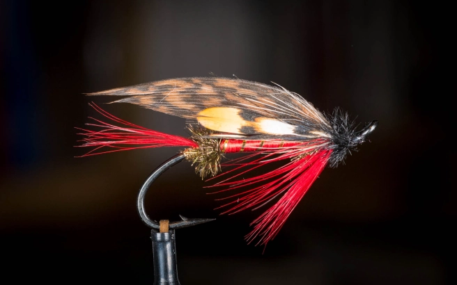 Bekheart's Special Bekheart's Special