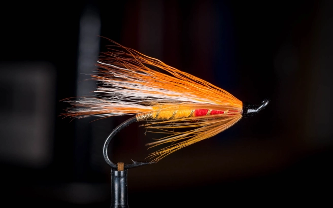 Brad's Brat Brad's Brat