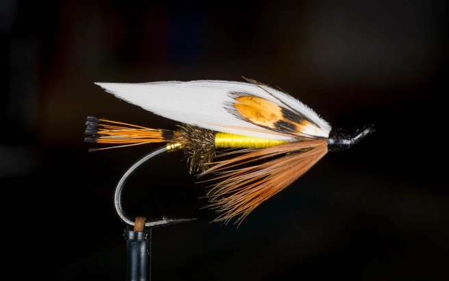 California Coachman California Coachman