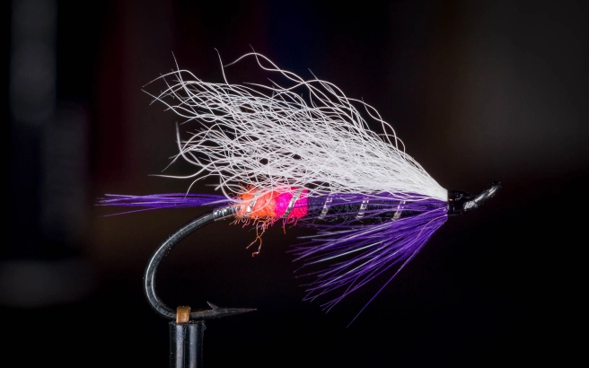 Freight Train Freight Train