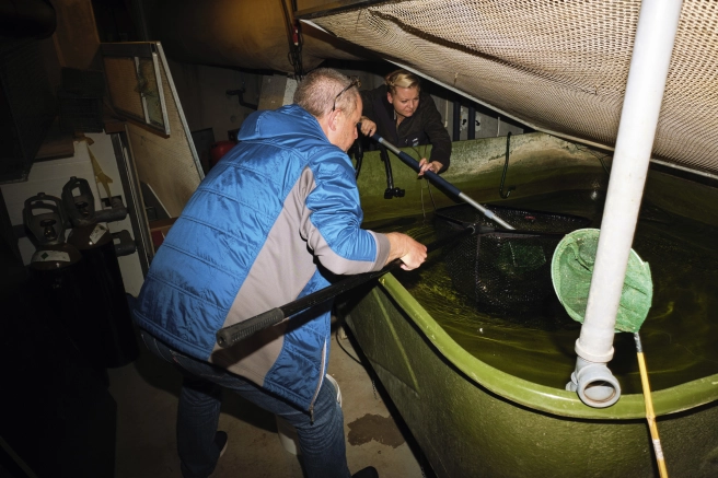 From the tank From the tank