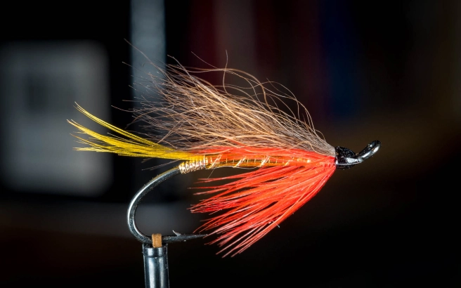 Golden Demon Golden Demon