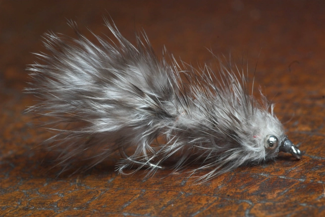 Grey Frede Grey Frede