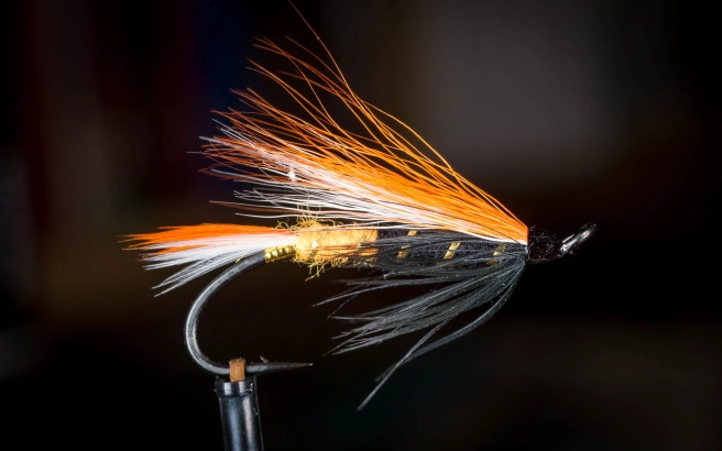 Max Canyon Max Canyon