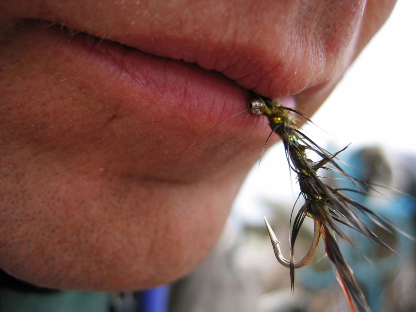 Temporary storage Temporary storage