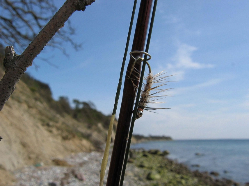 Copper Camel Copper Camel