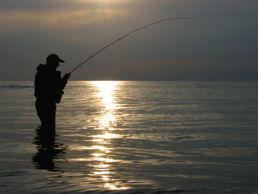 In the sun In the sun