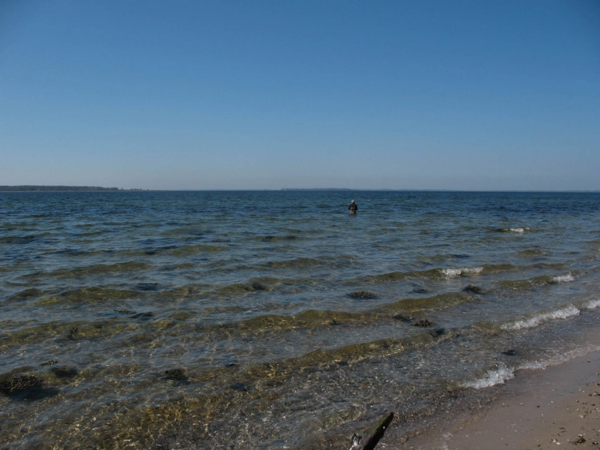 A secret spot A secret spot