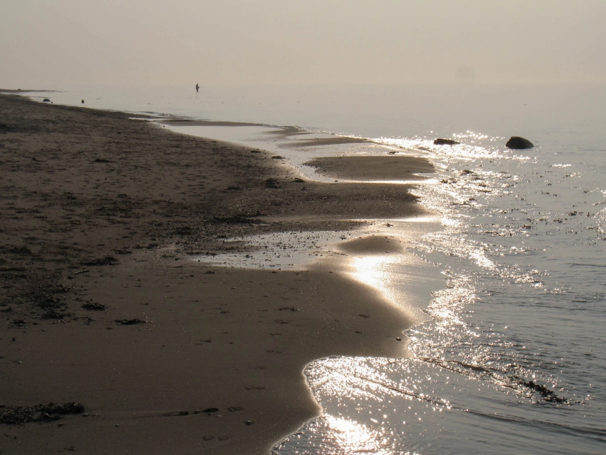 Against the light Against the light