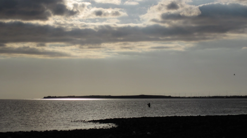 Magic afternoon light Magic afternoon light