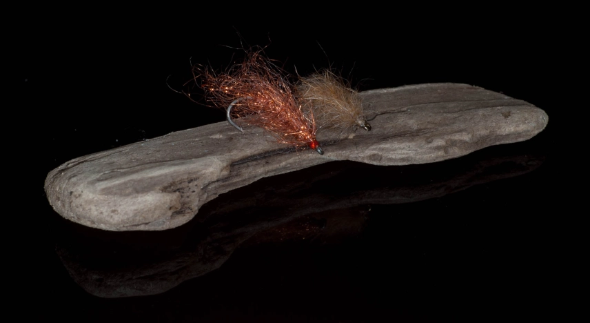 Copper Bully and Killer Bug Copper Bully and Killer Bug