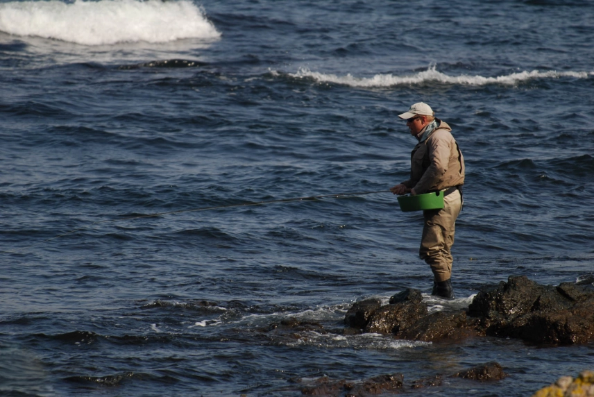 Probing the surf Probing the surf
