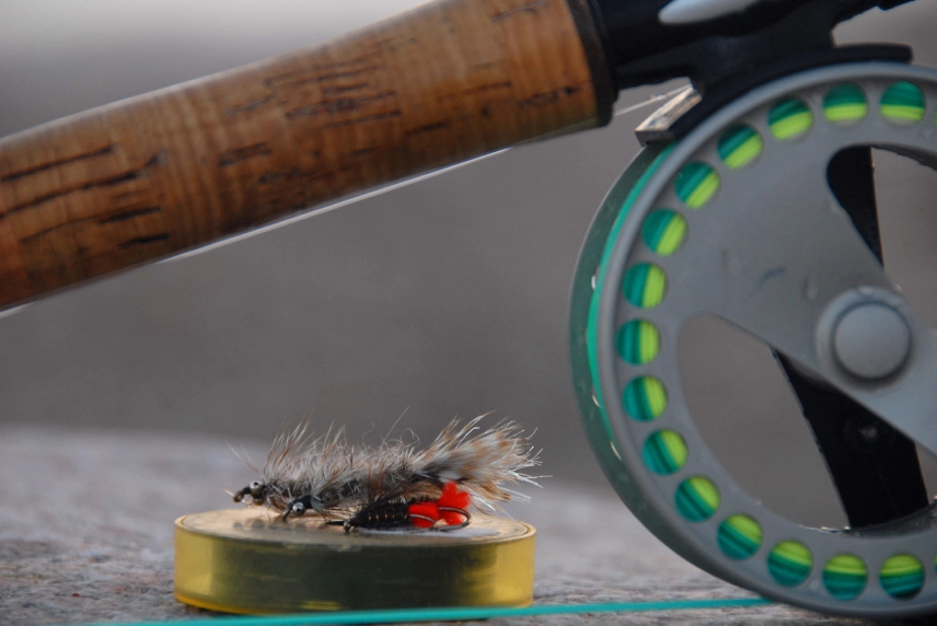 Simple set Simple set