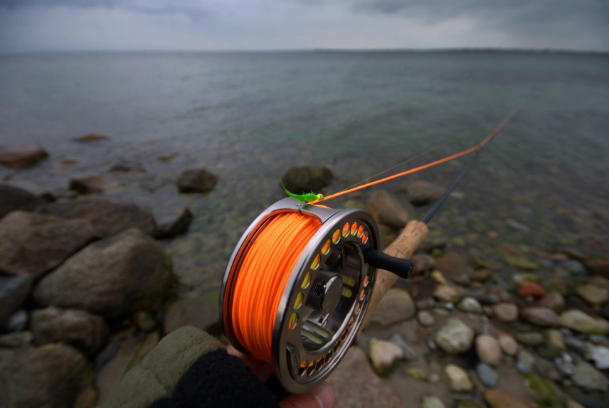 Orange line, green fly Orange line, green fly