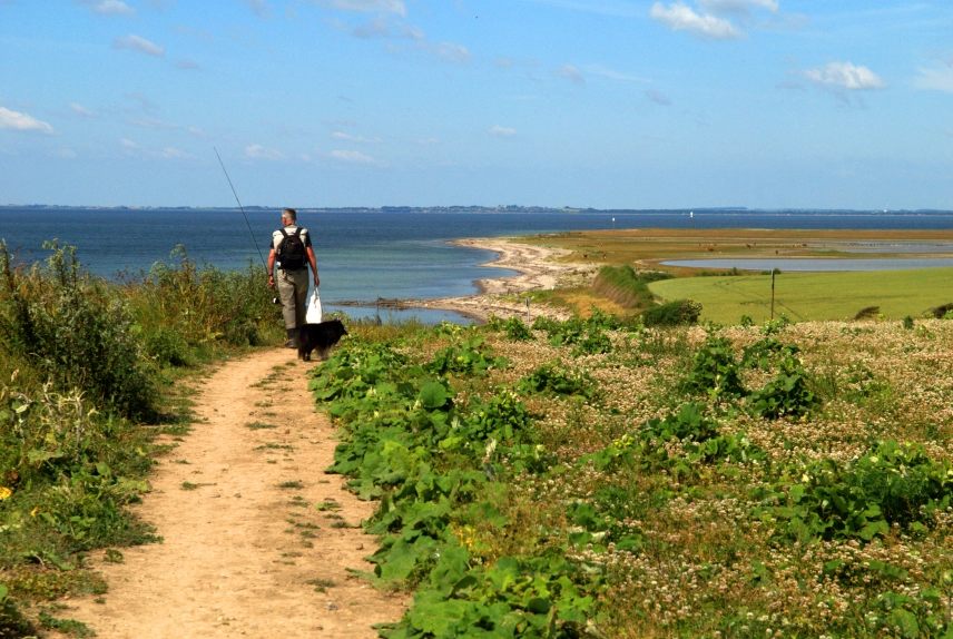 Henning and Divus Henning and Divus