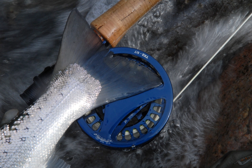 Tail on reel Tail on reel