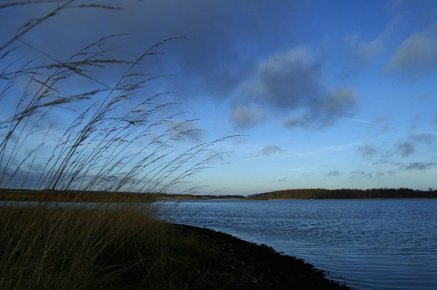 Sunny winter's day Sunny winter's day