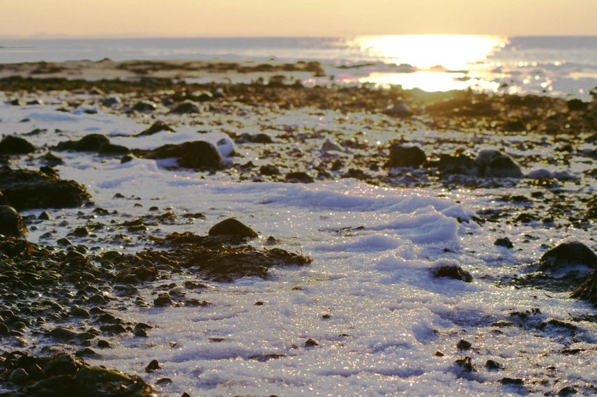 Snow and ice Snow and ice