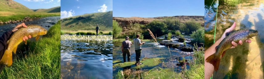 Caspian and Aras Trout Caspian and Aras Trout