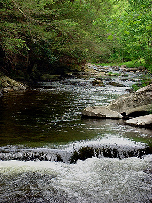 Small stream