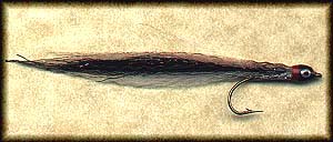 SURF CANDY BND Image