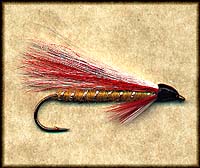 Parmacheene Belle (Bucktail) Image