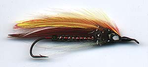 SARAH'S DESERT SUNSET Image