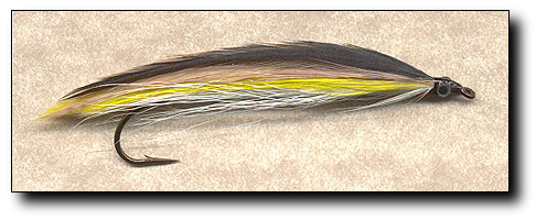 Ten Feather Emerald Shiner