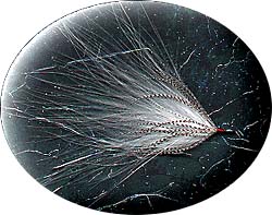 SOFT Hackle STREAMER Image