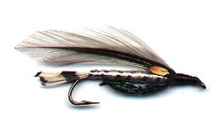 SILVER DARTER Image