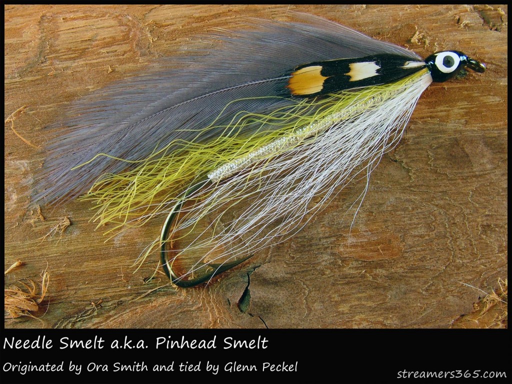 #224 Needle Smelt - Glenn Peckel