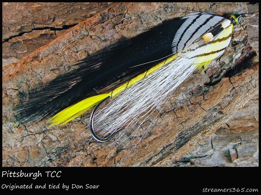 #121 Pittsburgh - Team Colors Collection - Don Soar