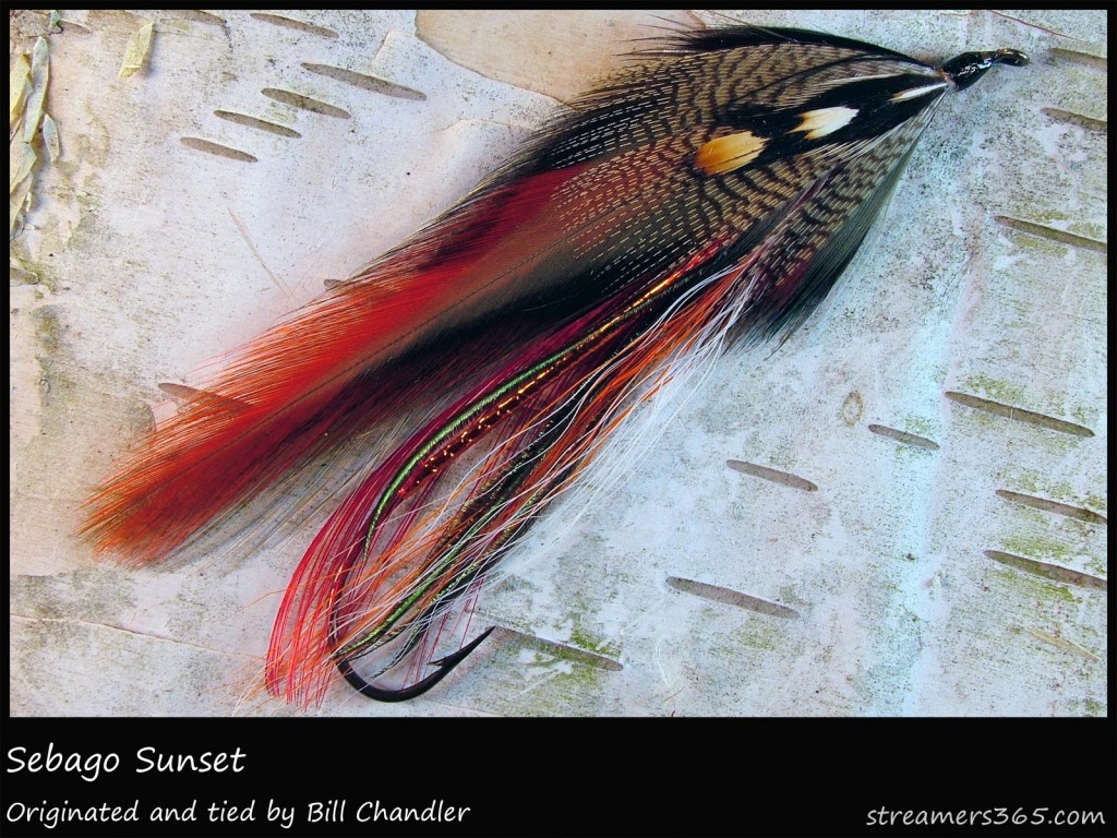 #93 Sebago Sunset - Bill Chandler