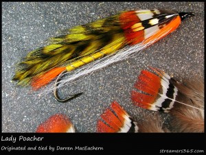 #181 Lady Poacher - Darren MacEachern