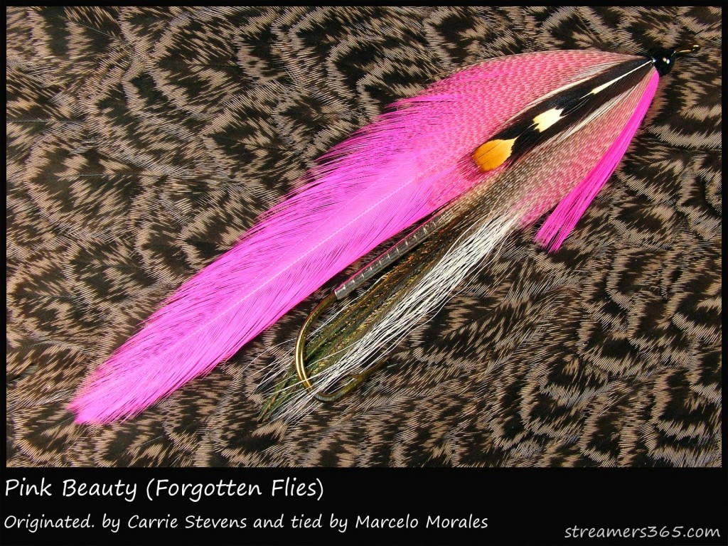 #228 Pink Beauty - Marcelo Morales