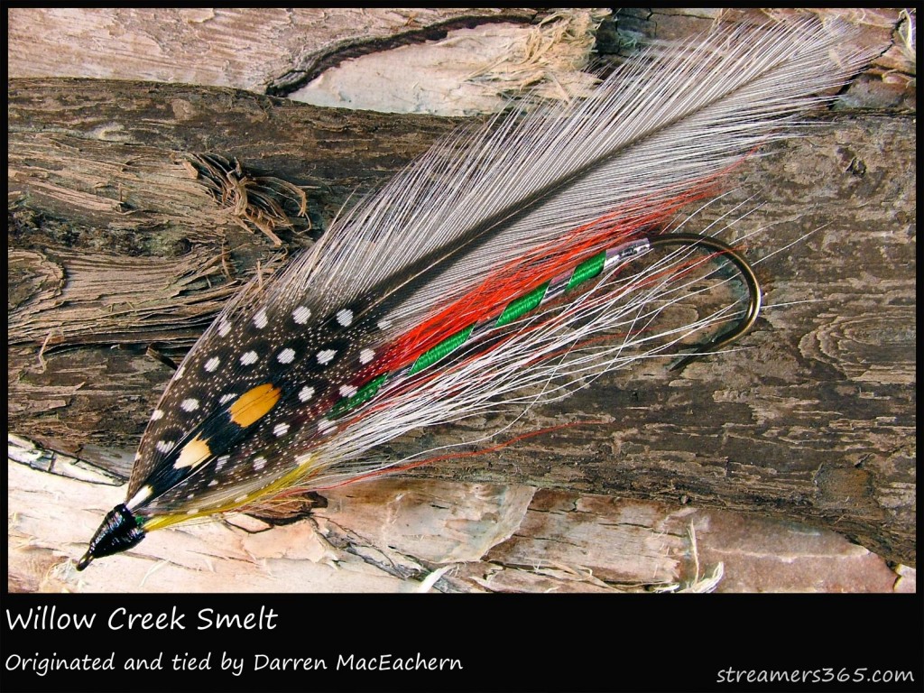 #237 Willow Creek Smelt - Darren MacEachern