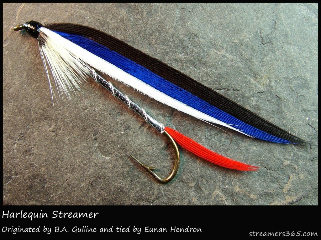 #261 Harlequin Streamer - Eunan Hendron