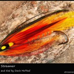 #269 Phoenix Streamer - Davie McPhail