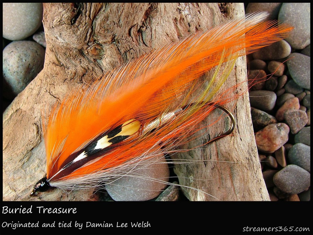 #271 Buried Treasure - Damian Lee Welsh