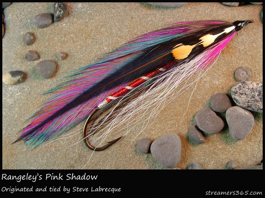 #308 Rangeley's Pink Shadow - Steve Labrecque