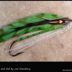 #334 Dr. J - Joel Stansbury