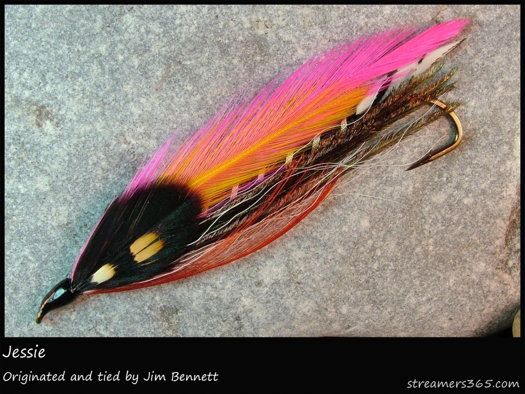 #352 Jessie - Jim Bennett