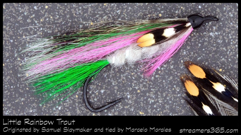 #28-2013 Little Rainbow Trout by Marcelo Morales