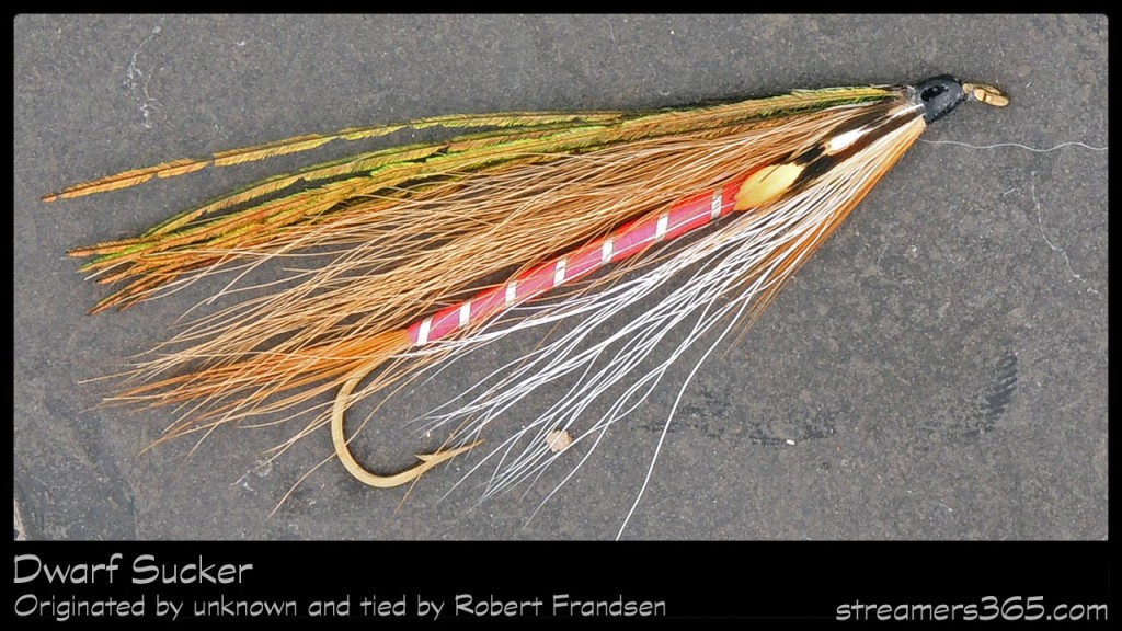 #58-2013 Dwarf Sucker - Robert Frandsen