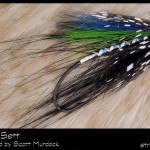 #66-2013 Campbell Old Sett - Scott Murdock