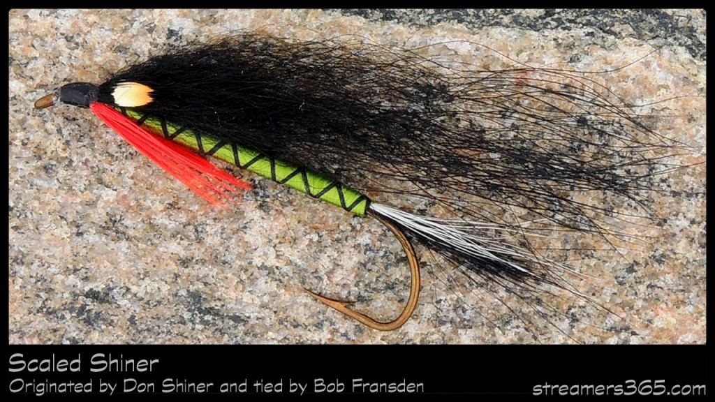 #68-2013 - Scaled Shiner Hairwing by Robert Frandsen