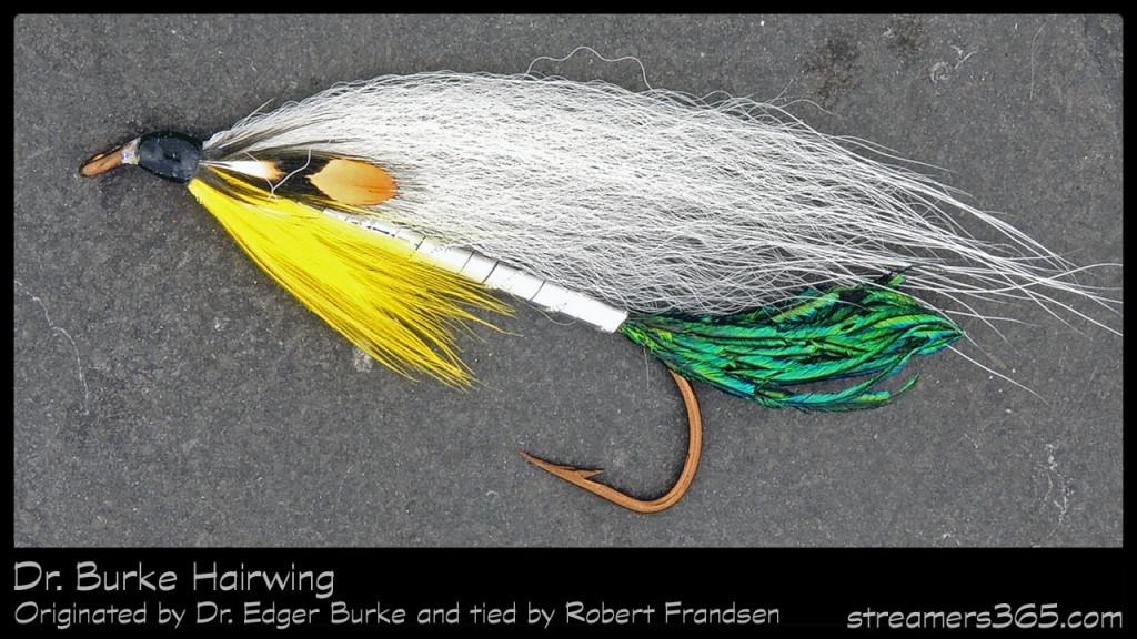 #87-2013 Dr. Burke Hairwing - Robert Frandsen