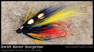 Swift River Surprise - Jim Malo