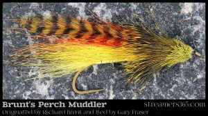 Brunt's Perch Muddler - Gary Fraser