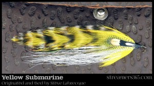 Yellow Submarine - Steve Labrecque